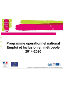 Présentation dgefp programme opérationnel national FSE
