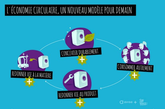 Extrait infographie Avise / Say Yess