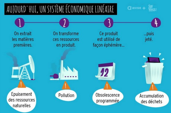 Extrait infographie Avise / Say Yess