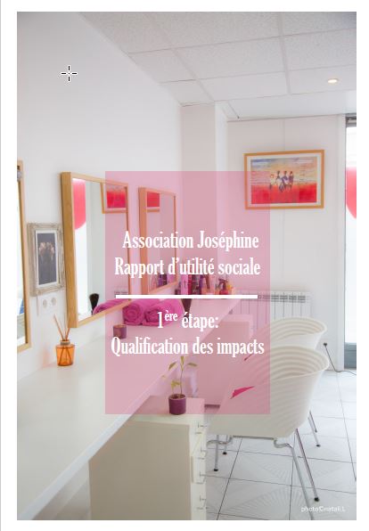 Rapport D Utilite Sociale De L Association Josephine 1ere Etape Avise Org