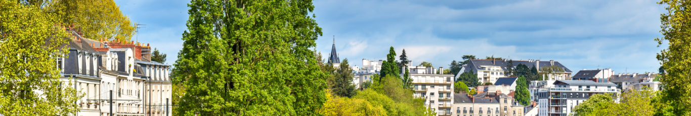 Vue de Nantes Ville