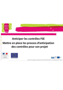 Présentation dgefp anticiper les controles fse