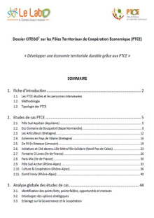 Etude PTCE Labo de l'ESS Citego