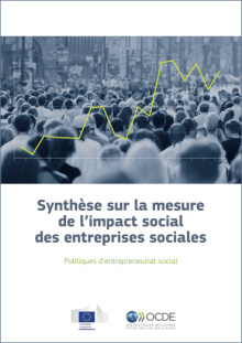 Synthèse sur la mesure de l’impact social des entreprises sociales 
