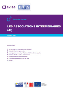 201610 Fiche Associations intermédiaires CR DLA IAE