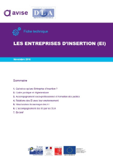 Les entreprises d'insertion CR DLA IAE 2016