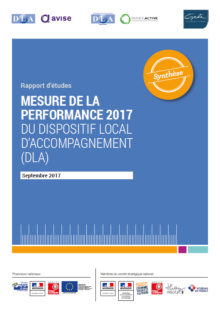 Synthèse Mesure performance 2017 du DLA