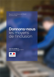 Rapport Borello "Donnons-nous les moyens de l'inclusion"