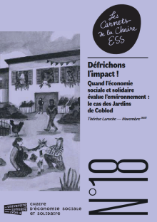 Défrichons l'impact ! Carnet de la Chaire ESS de l'Université de LYon Lumière