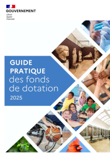 Guide pratique des fonds de dotation