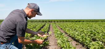 Cultivateur sur un champ agricole