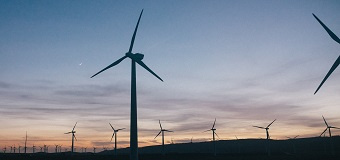 Un champ d'éoliennes