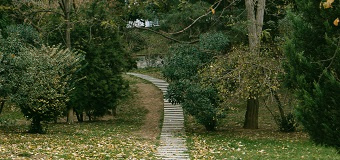 Un parc en zone urbaine