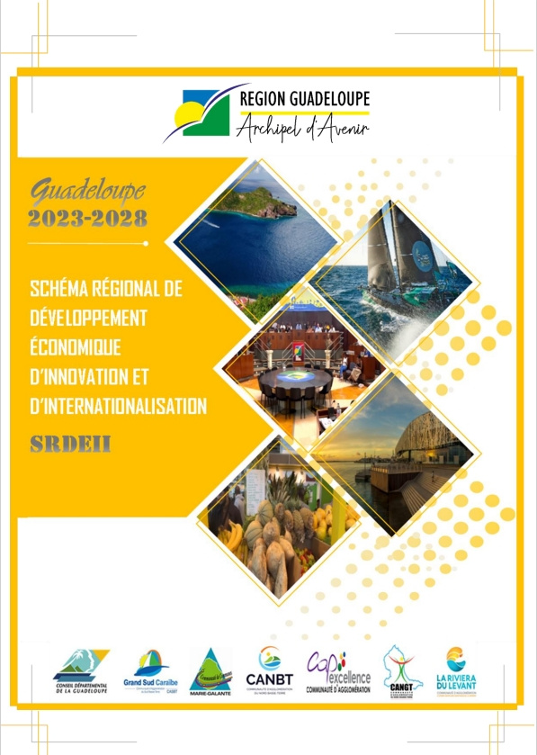 SRDEII Guadeloupe
