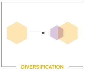 Stratégie de diversification