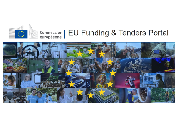 EU Funding & Tenders Portal - image