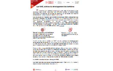 Kit de survie modèles socio économiques des SIAE