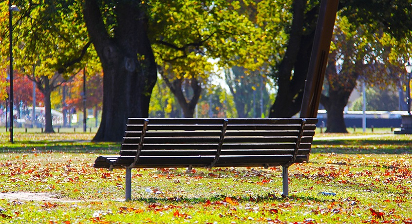 Un banc situé dans un parc en zone urbaine