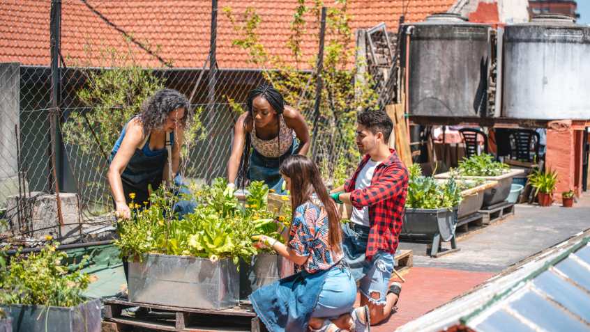 Equipe jardin partagé en urbanisme