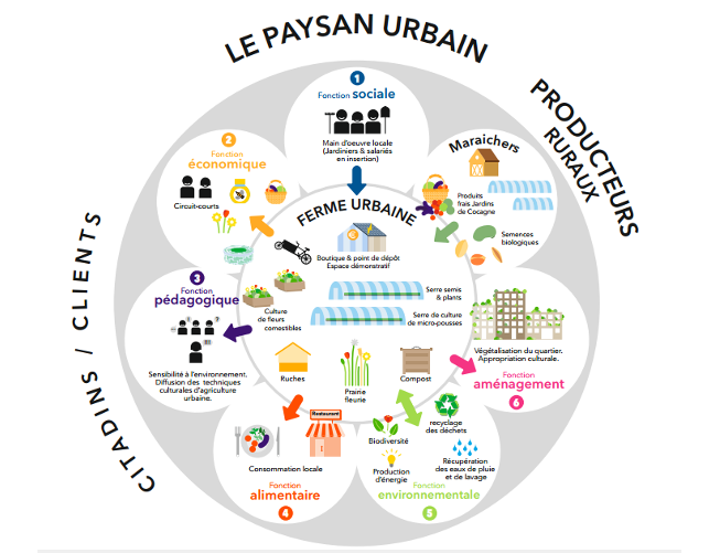 Schéma Le Paysan Urbain Schéma Le Paysan Urbain