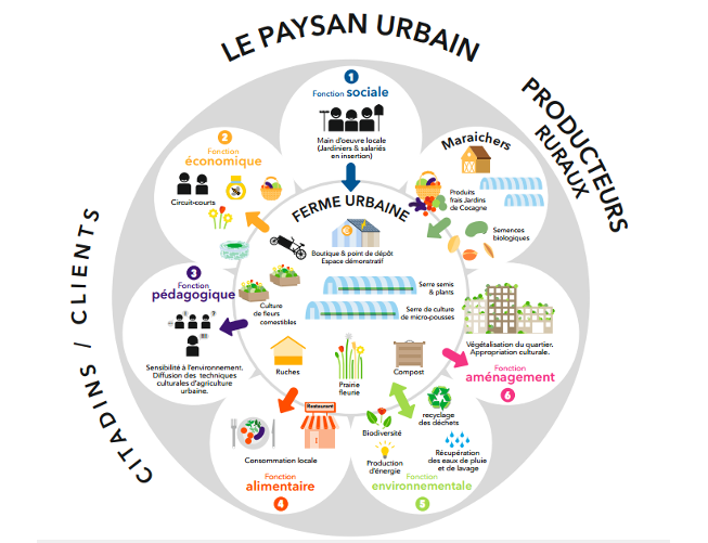 Schéma Le Paysan Urbain