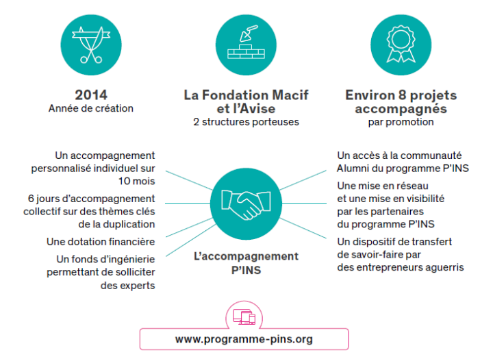 Le programme P'INS Le programme P'INS
