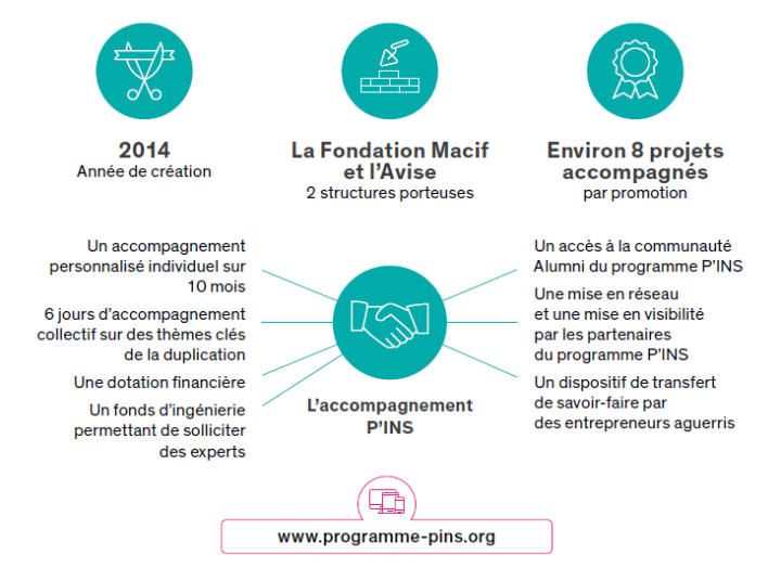 Le programme P'INS