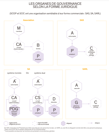 Les organes de gouvernance selon la forme juridique