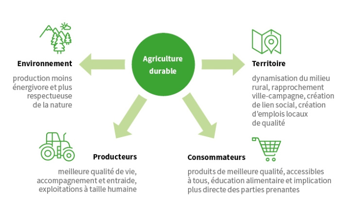 4 piliers pour une agriculture durable