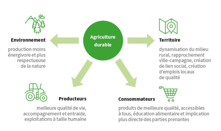 4 piliers pour une agriculture durable 