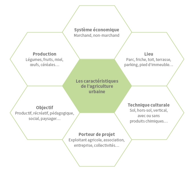 Schéma des caractéristiques de l’agriculture urbaine